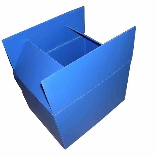 Hộp nhựa PP rỗng